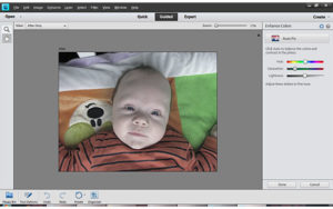 photoshop elements 11 release date